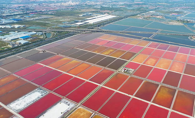 L(zhng)Jh}(chng)؟(z)ι˾